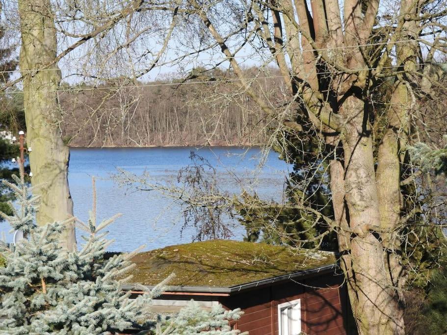 Dachwohnung Mit Wasserblick Und Eigenem Bootssteg Berlin Eksteriør bilde