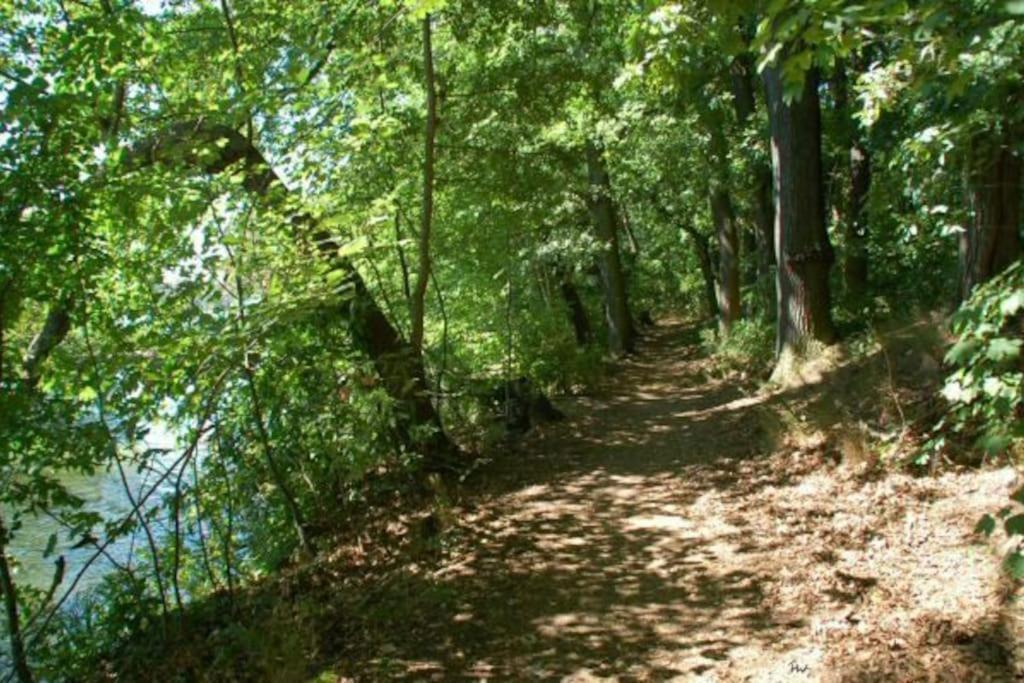 Dachwohnung Mit Wasserblick Und Eigenem Bootssteg Berlin Eksteriør bilde